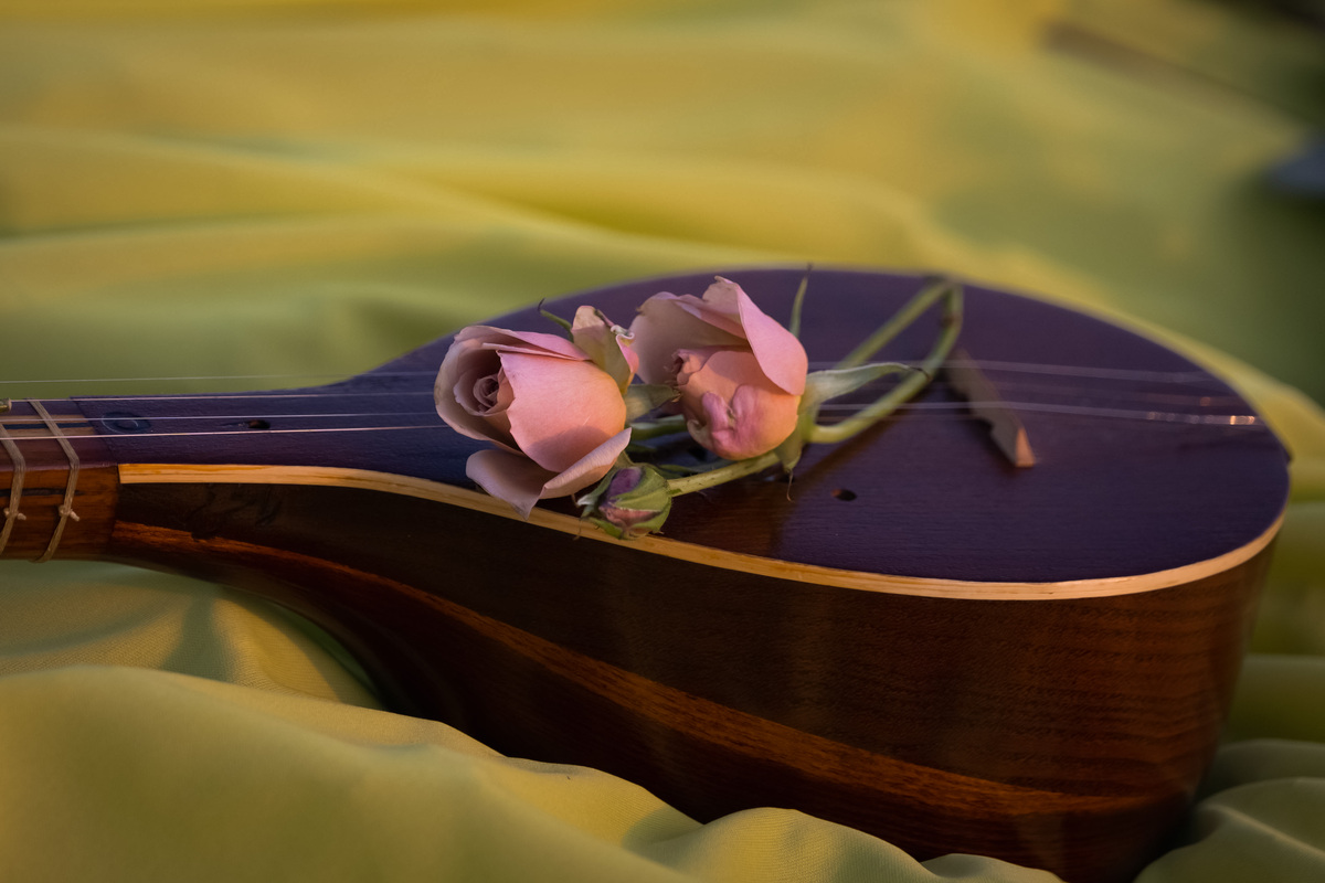 Roshi Littlelight Photography | Adrienne Shamszad