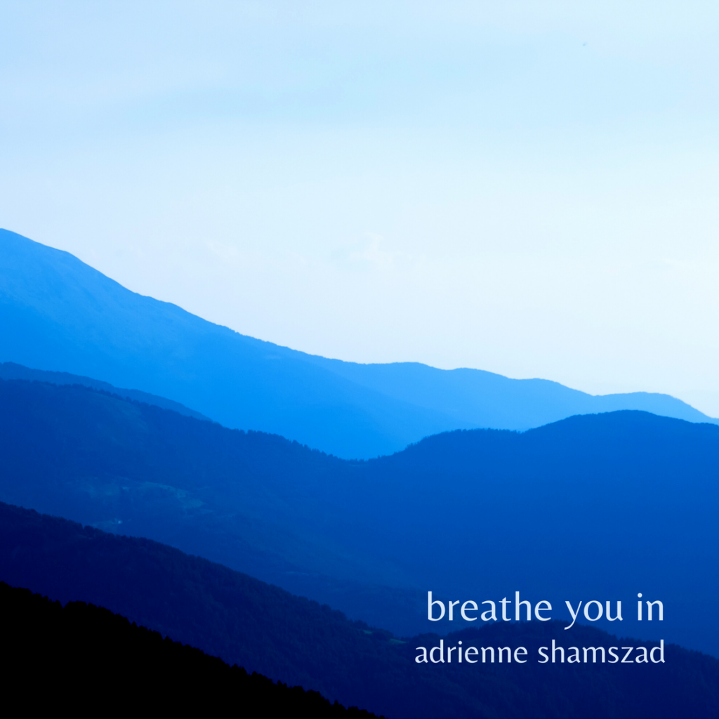 Breathe You In © 2014, Adrienne Shamszad