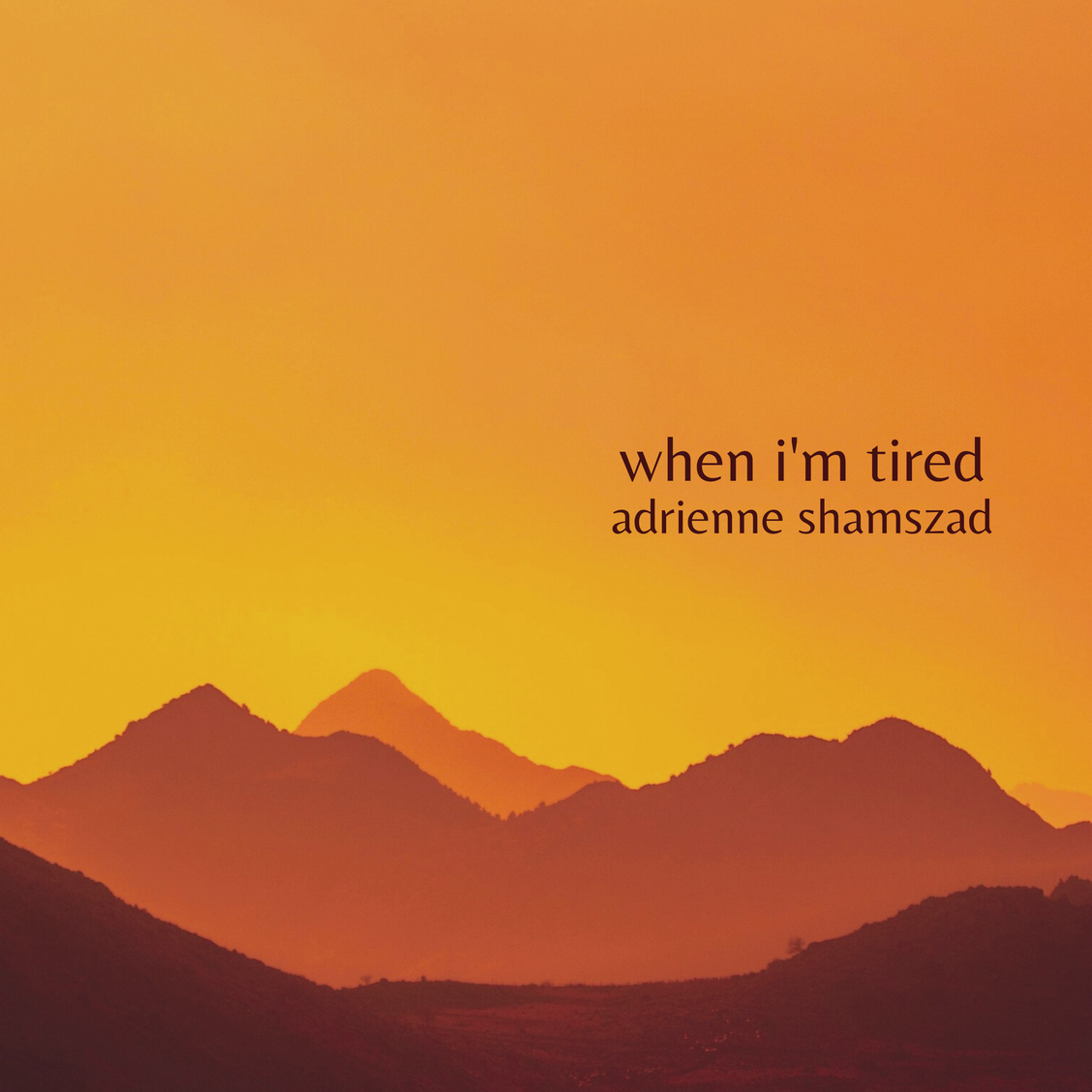 when i'm tired | adrienne shamszad